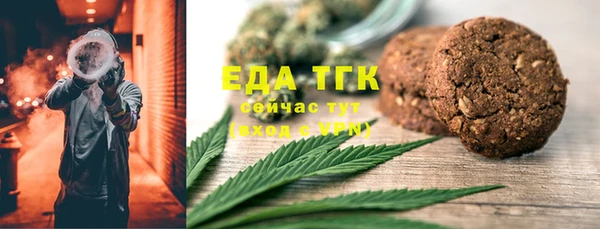индика Белая Холуница