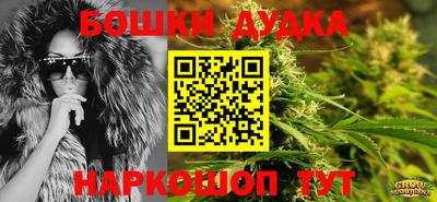 сатива Изобильный