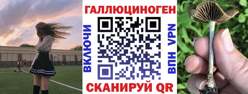 Псилоцибиновые грибы мицелий Хабаровск